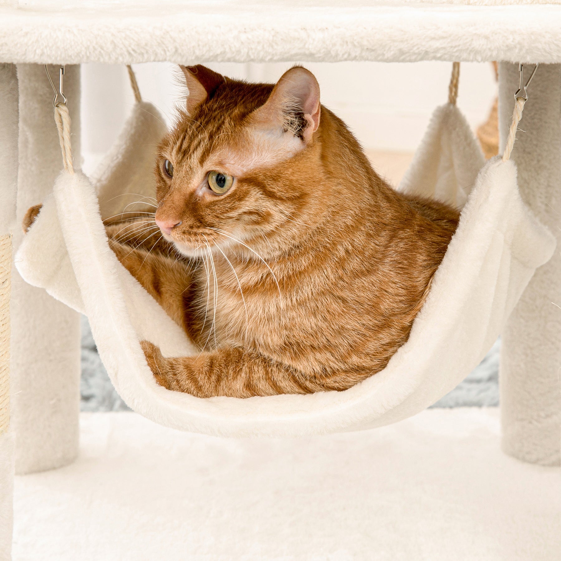 Quuzee 51.6-in Cat Tree Tower with Double Condo,Scratching Post Hammock, Beige