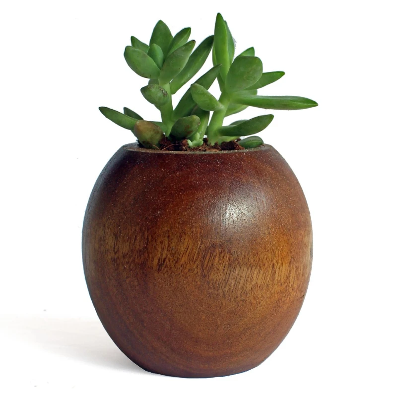 Indoor Decorative Wooden Planter OEM Customized Modern Planter Wood Flower Pots   Planter Supply From India