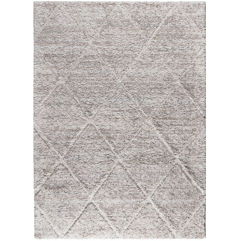 Madison Park Sophia Talas Trellis Woven Plush Shag Area Rug