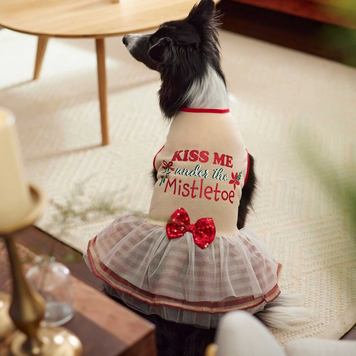 Frisco Kiss Me Under the Mistletoe Dog and Cat Dress