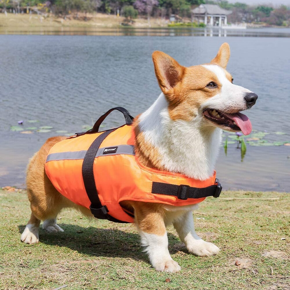 Dog Life Jacket Adjustable Ripstop Dog Life Vests for Water Safety pet Life Vest with Rescue Handle Safety Vest for Swimming Pool Beach Boating M