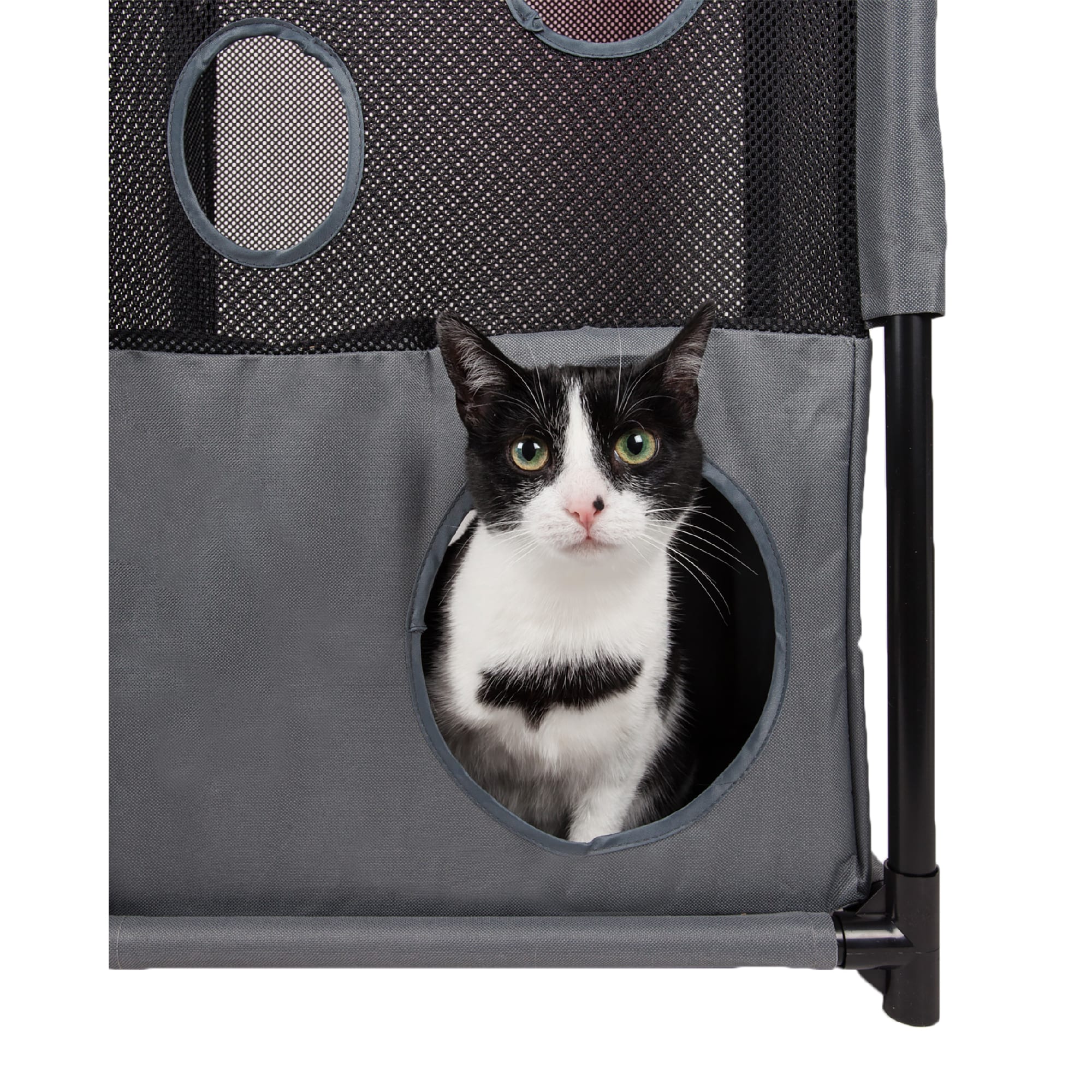 Pet Life Pink Square Obstacle Soft Folding Sturdy Play-Active Collapsible Travel Cat House， 17.71