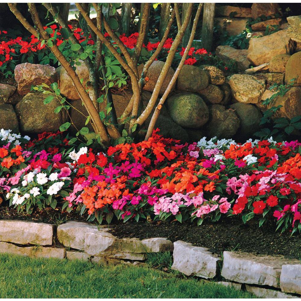 Pure Beauty Farms Grower's Choice Garden Potting Soil Sunpatien New Guinea Impatien 1.25 cu. ft. Flowering Mix DC125SOILIMPMIX