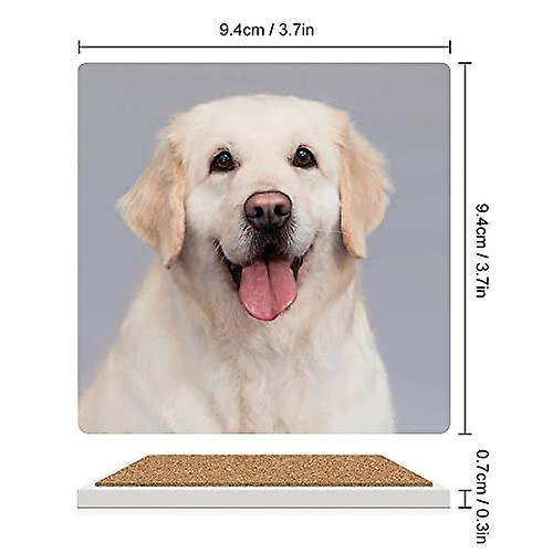 Colourlife Square Drink Coasters 2 Pcs Golden Retriever Dog With Tongue Absorbent Ceramic Coffee Coasters For Drinks With Cork Base Housewarming Gift