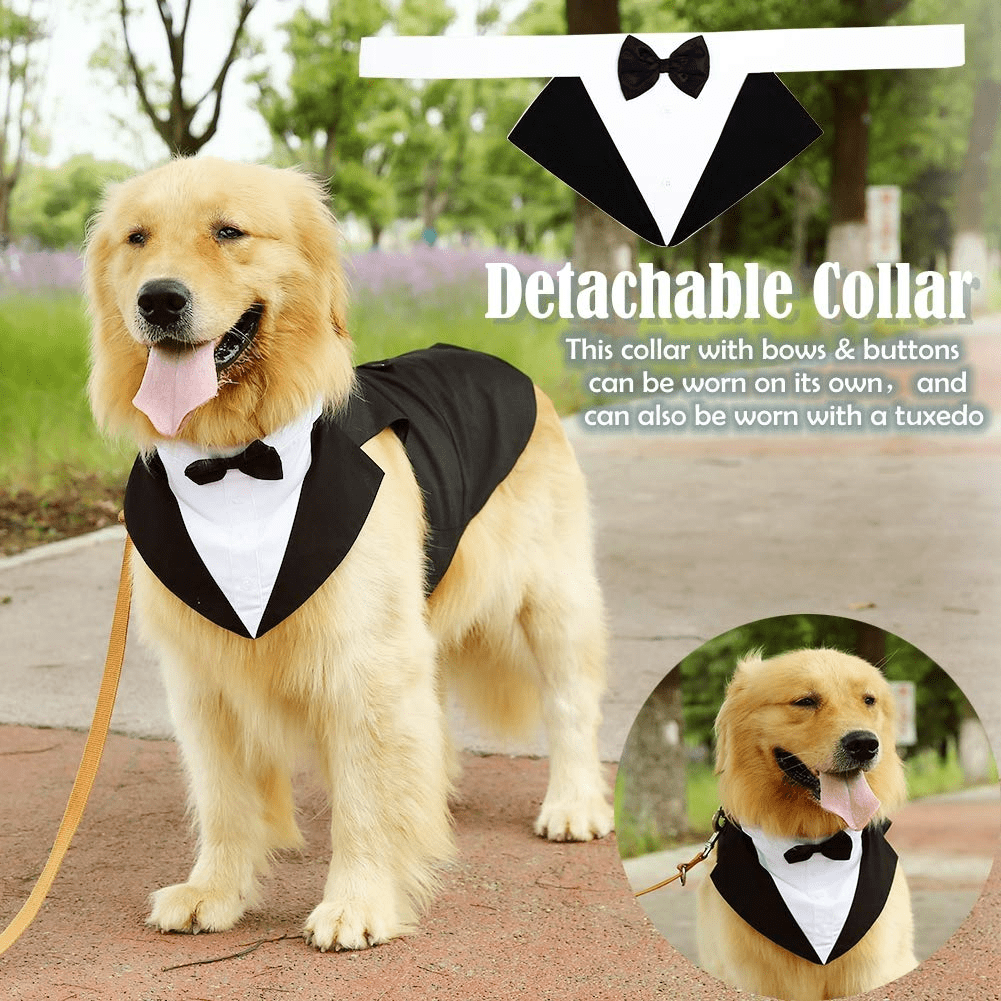 QBLEEV Dog Formal Tuxedo Suit for Medium Large Dogs，For Costume Wedding Party Outfit with Detachable Collar，Elegant Dog Apparel Bowtie Shirt and Bandana Set for Dress-up Cosplay Holiday Wear