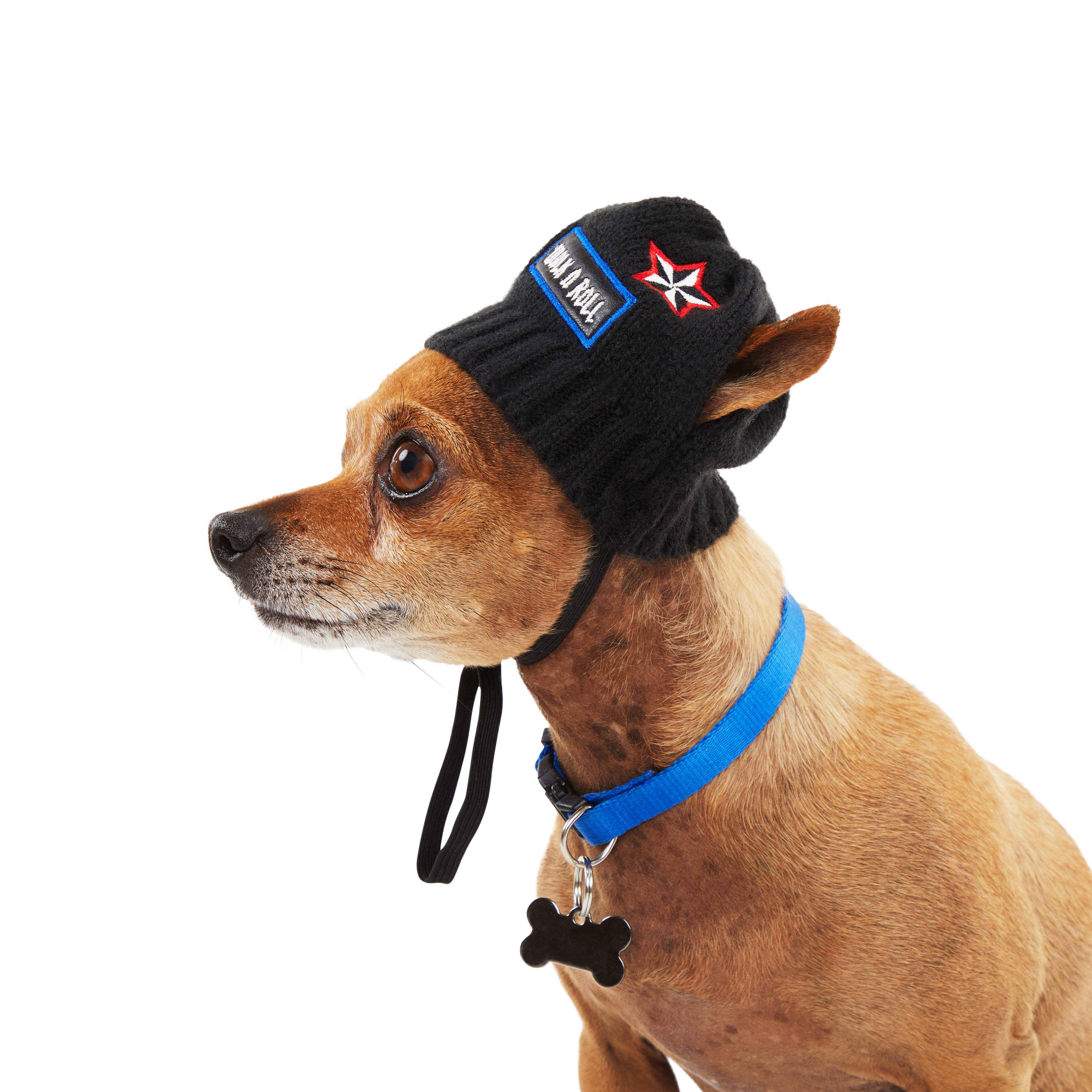 YOULY Beanie Dog Hat， X-Small/Small