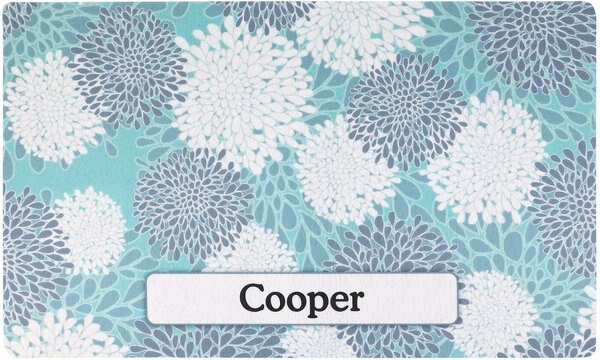 Drymate Indian Summer Personalized Dog and Cat Placemat， Turquoise and White