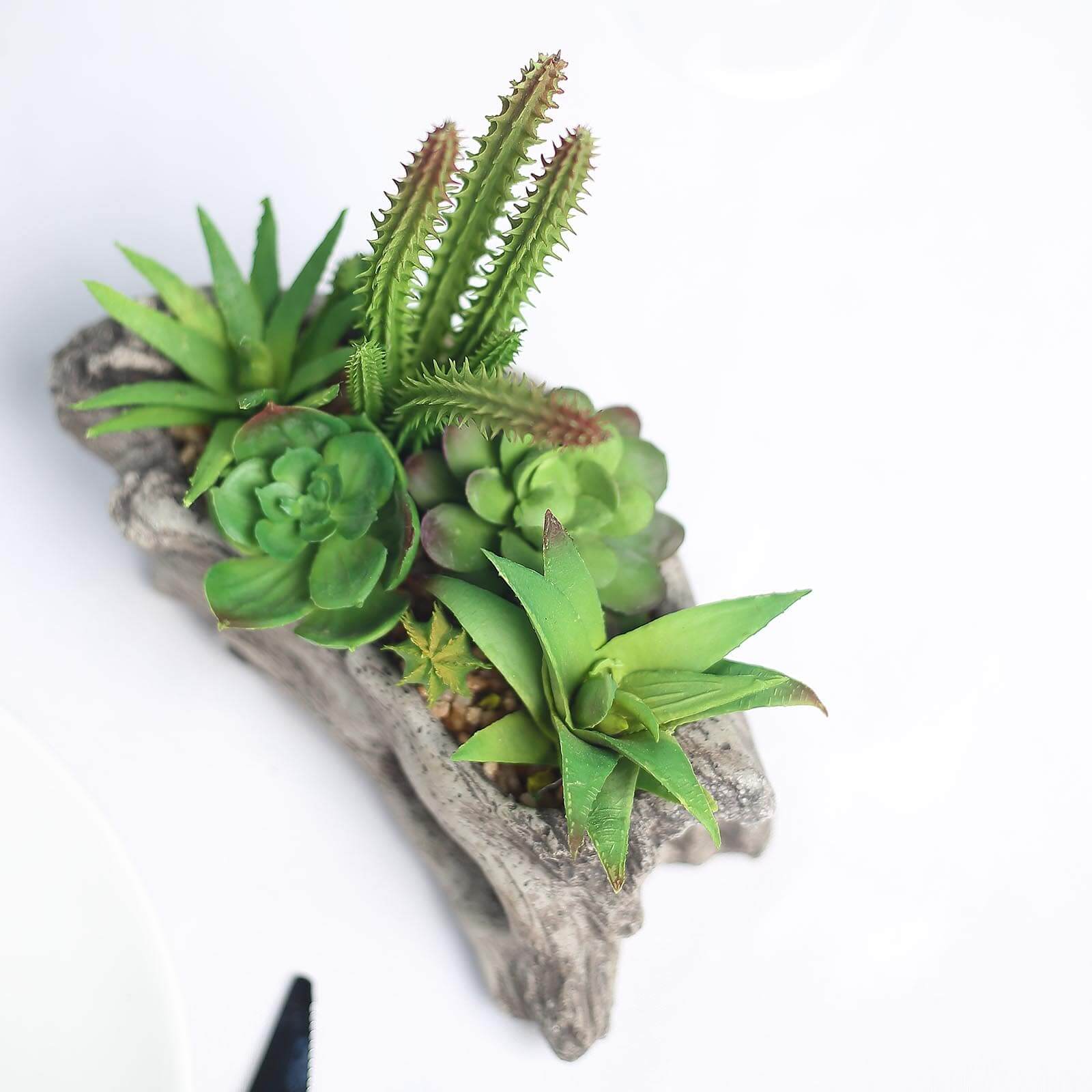 Natural Artificial Log Planter and 15 Assorted Succulent Plants 7