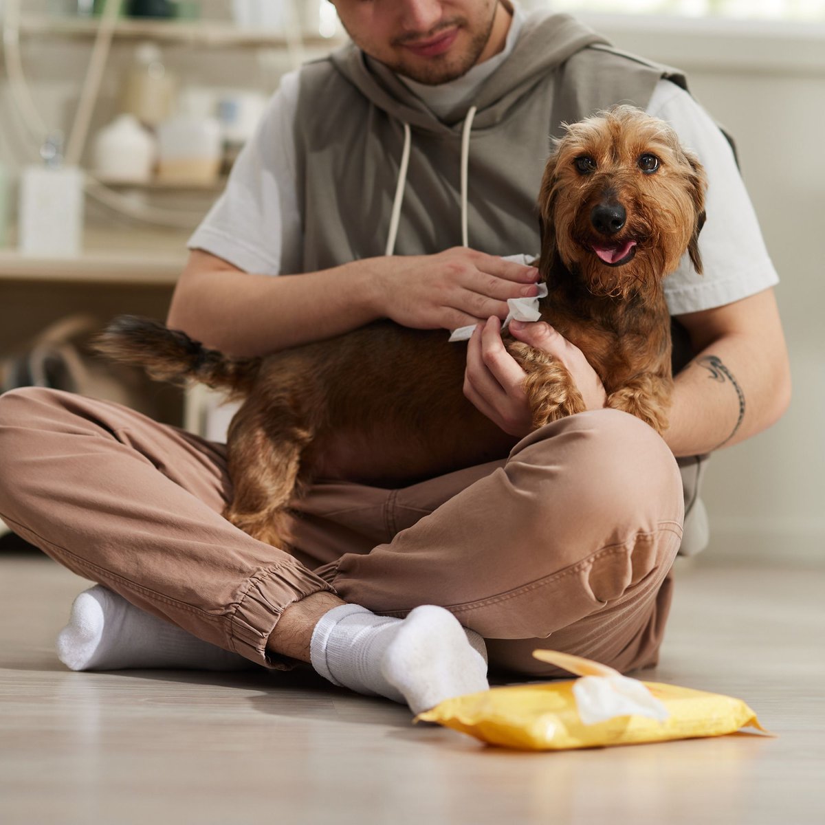 Burt's Bees Multipurpose Wipes with Honey For Dogs