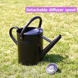 Dyiom 1 Gal. Black Metal Plant Watering Can with Handles Galvanized Steel Watering Pot B09GVGFDKH