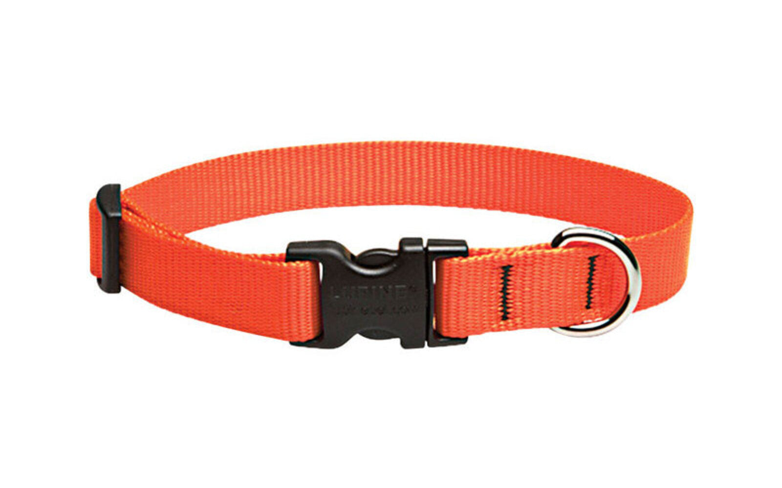 DOG COLLAR13-22