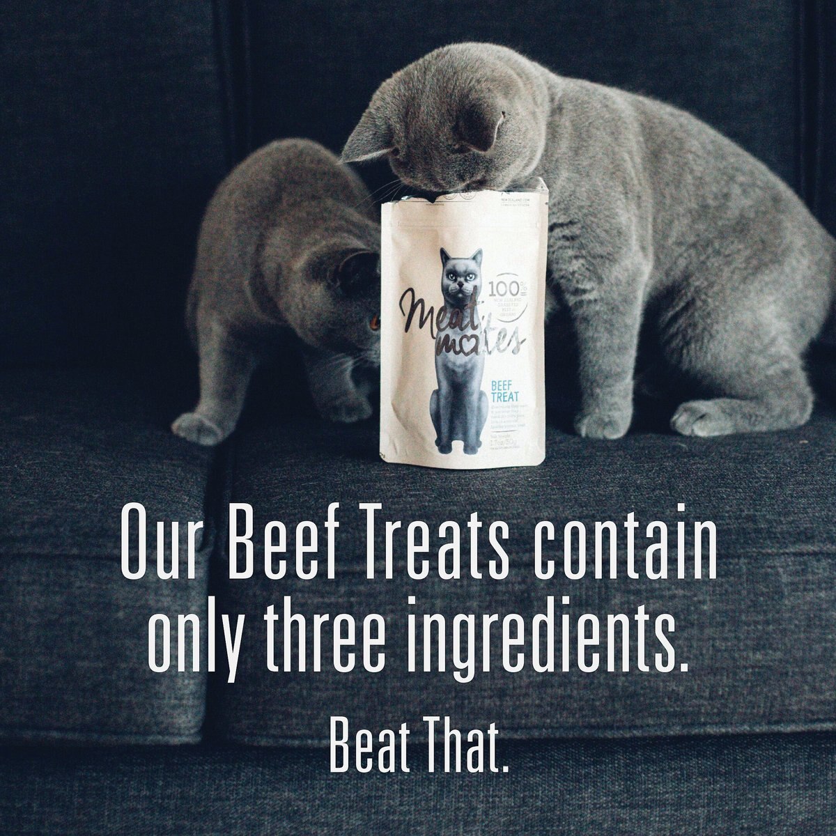 Meat Mates Beef Freeze-Dried Raw Cat Treats