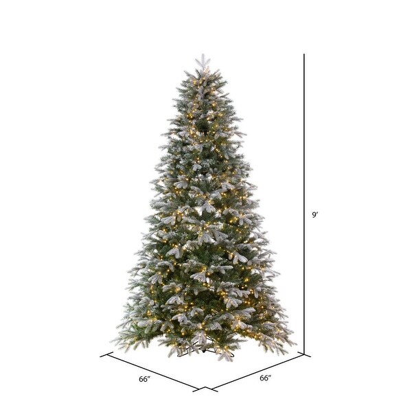 Vickerman 9' x 66 Frosted Douglas Fir Artificial PreLit Christmas Tree，Warm White 3mm Low Voltage LED Wide Angle Lights.