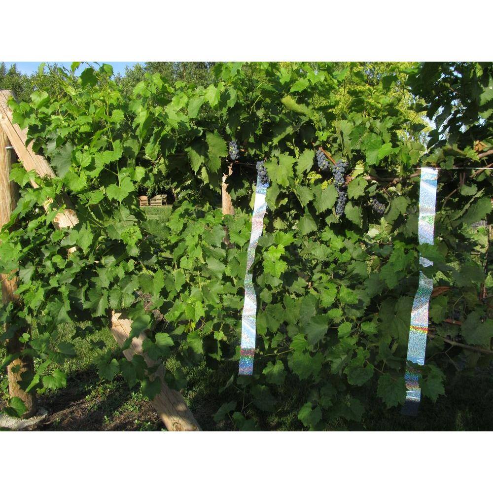 Bird-X Irri-Tape Bird Repellent Ribbon TAPE-100