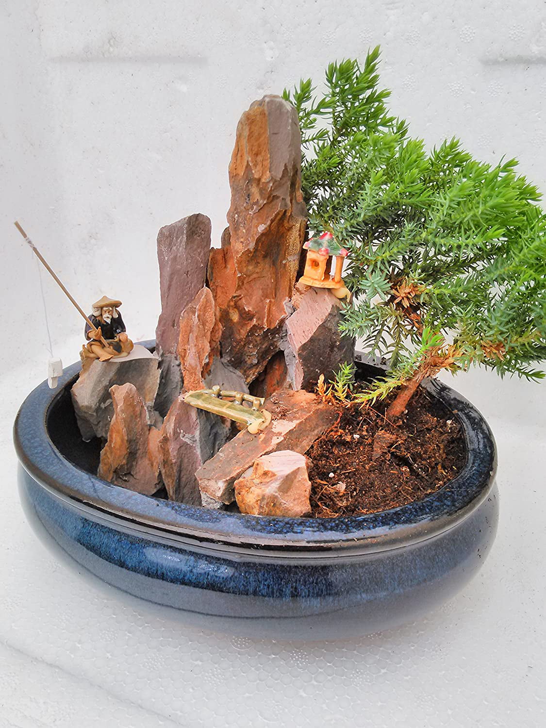 9GreenBox - BONSAI Juniper Tree Zen Garden With Pool Fishman