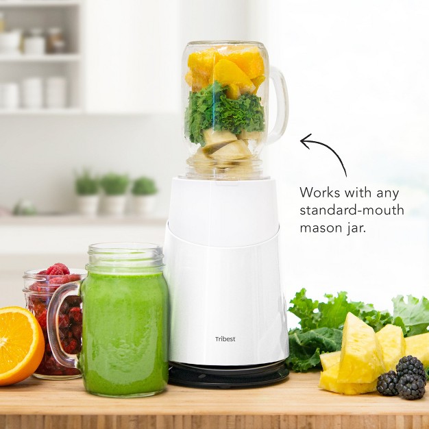 Tribest Personal Blender Ii Mason Jar Ready family 16 piece Set