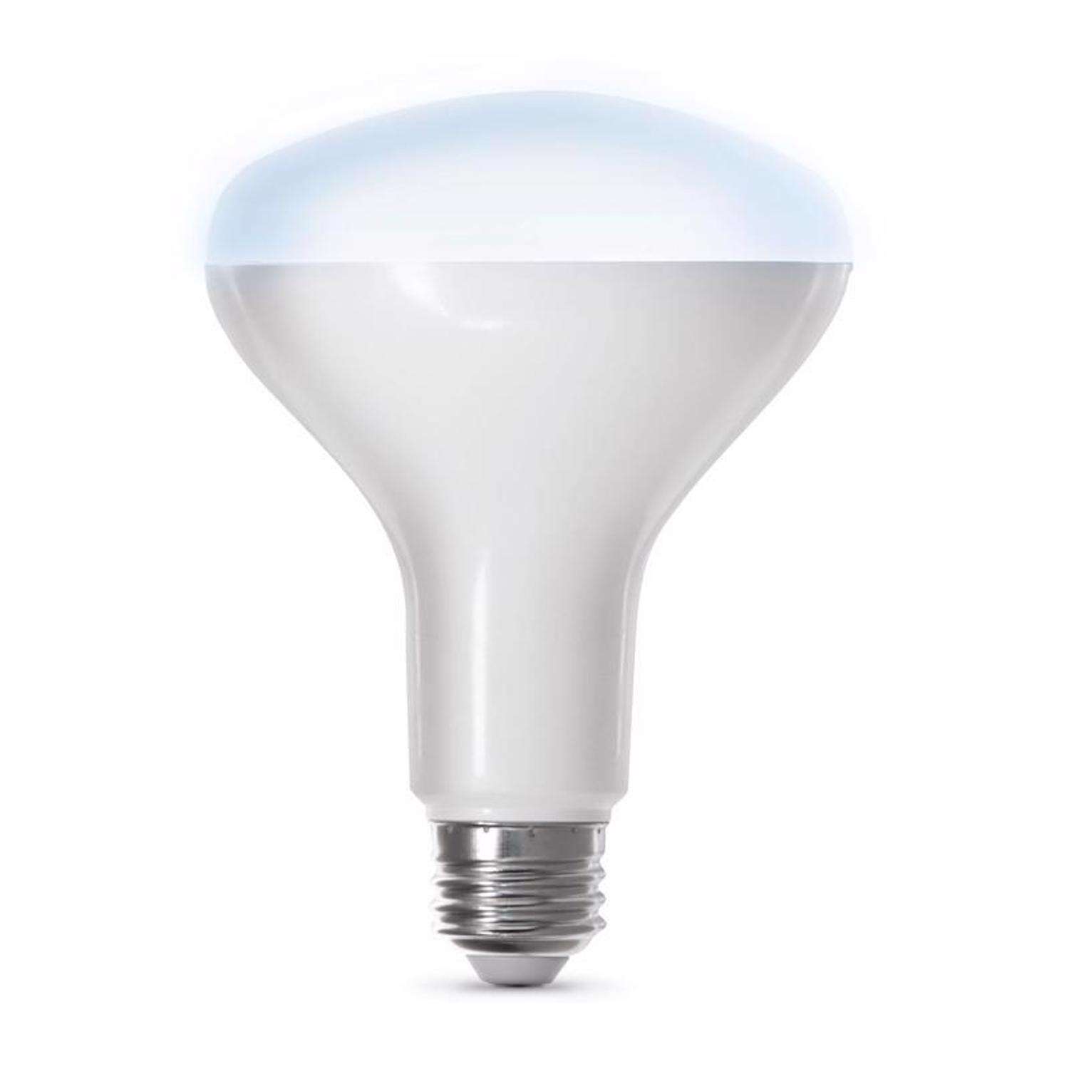 Feit Smart Home BR30 E26 (Medium) Smart-Enabled LED Bulb Daylight 65 Watt Equivalence 1 pk