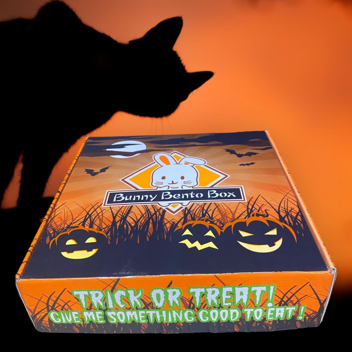 Sweet Meadow Farm Halloween Edition Bunny Bento Box Small Pet Treats， 10-oz box