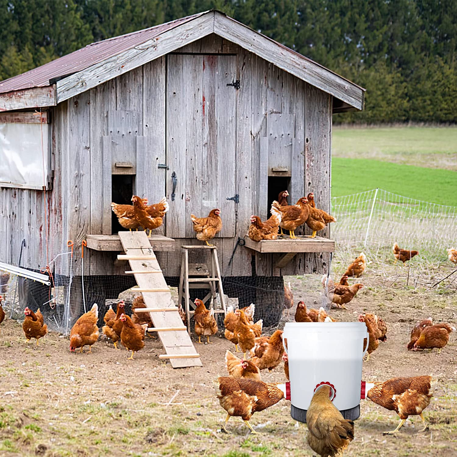 DIY Chicken Feeders No Waste， 6 Pack Poultry Feeder with Covers Gravity Feed Kit Ports 6-1 Hole Saw for Buckets Barrels Bins Troughs