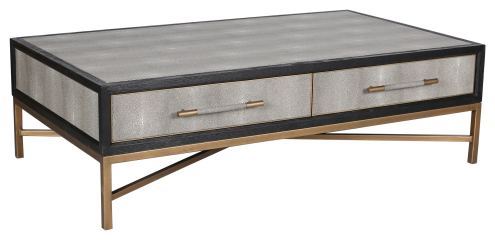 Mako Coffee Table   Contemporary   Coffee Tables   by HedgeApple  Houzz