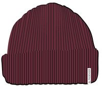 Compass Recycled Beanie - Wine