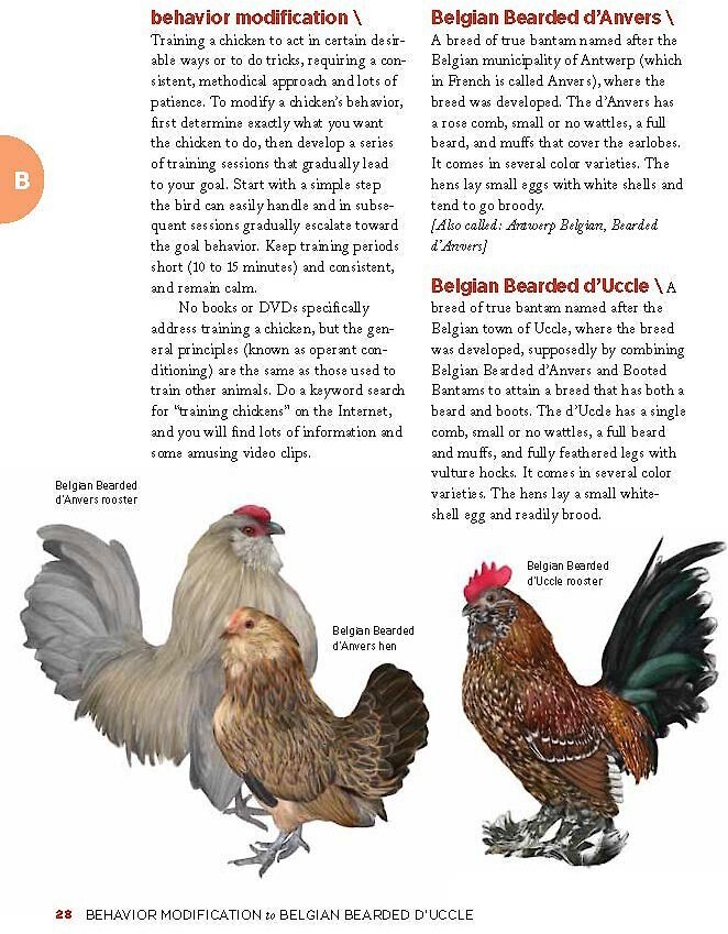 Chicken Encyclopedia