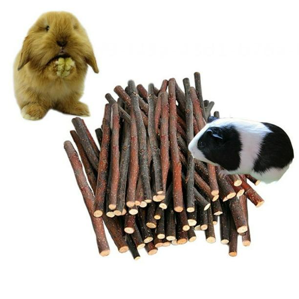 Fovien Pet Chew Toys Molar Toys for Rabbit Chinchilla Guinea Pig Hamster Parrots Squirrel 1