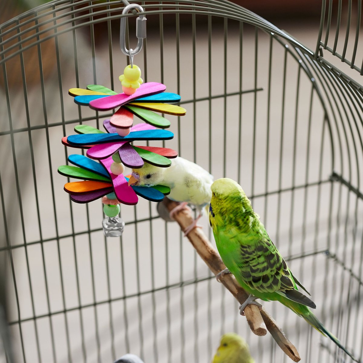 Frisco Popsicle Frenzy Bird Chew Toy