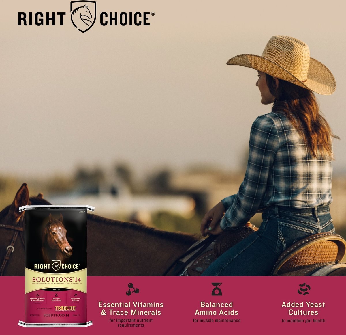 Right Choice Solutions 14 Horse Feed