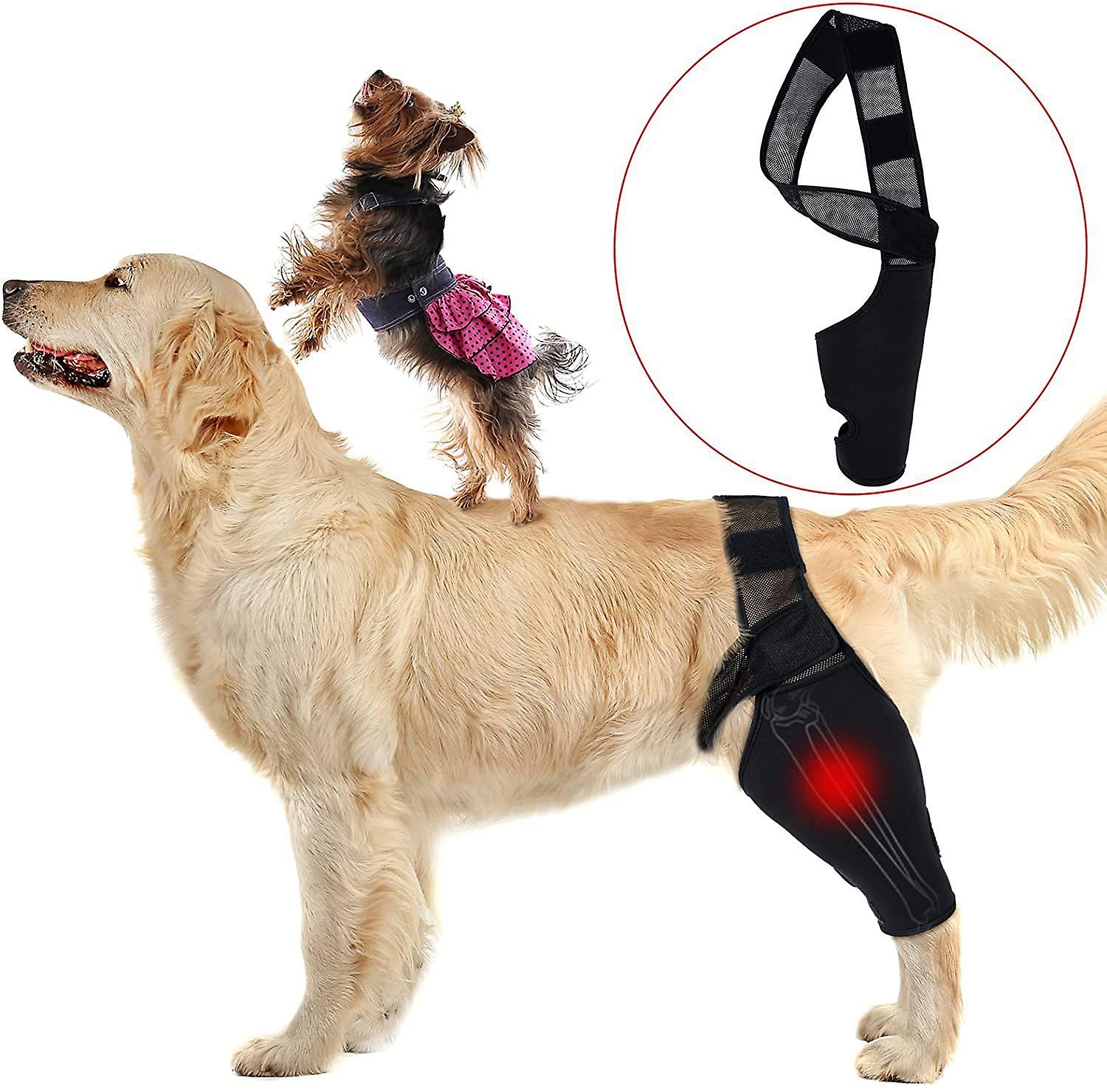 Miman Dog Knee Brace For Acl， Knee Cap Dislocation， Arthritis - Keeps The Joint Warm - Reduces Pain And Inflammation