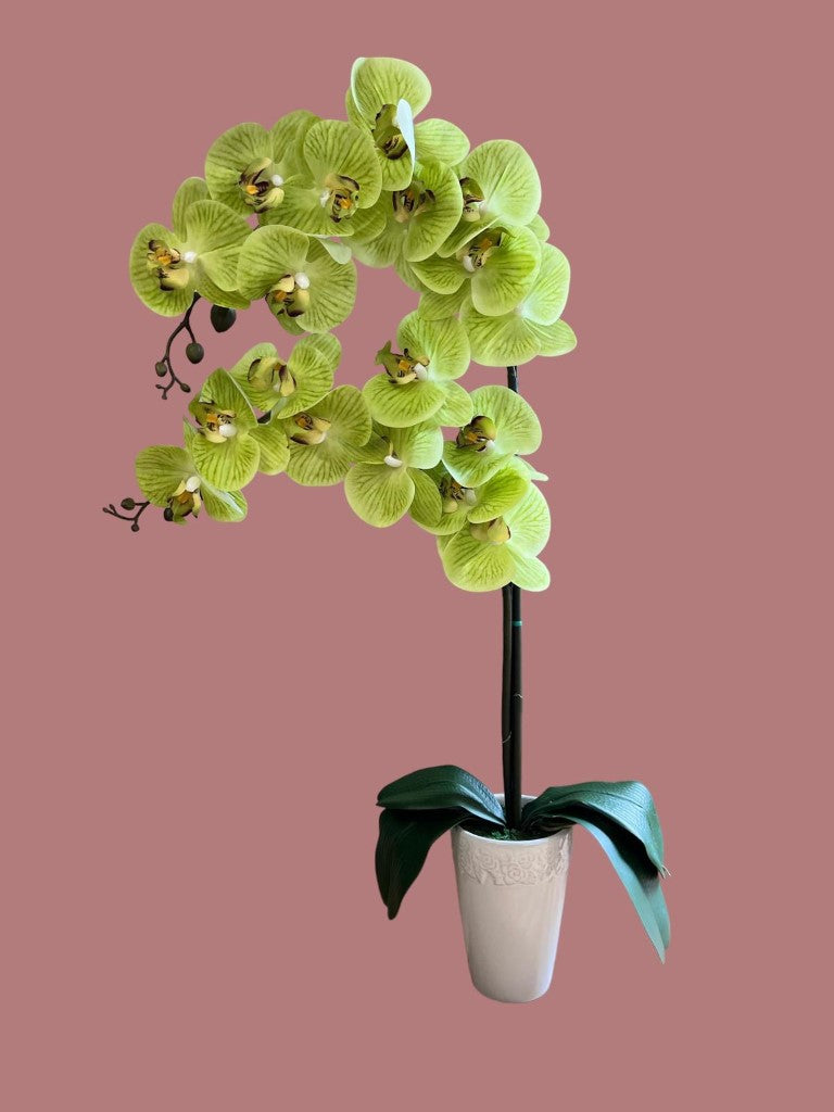 Stunning Artificial Orchids in Conical Pot