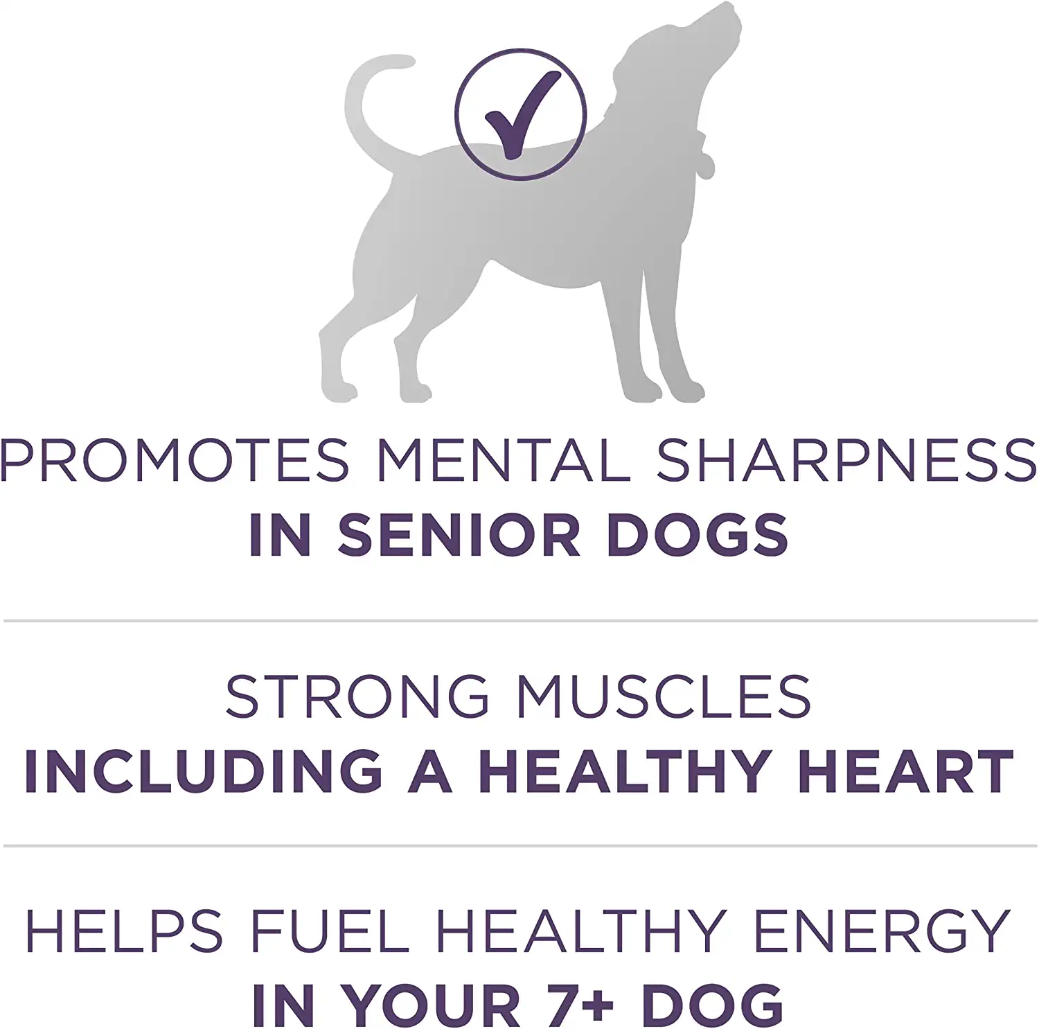 Purina ONE High Protein Senior Dry Dog Food， +Plus Vibrant Maturity Adult 7+ Formula - 16.5 lb. Bag