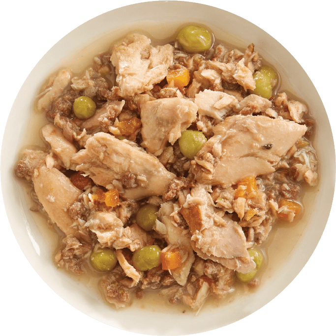 Rawz Pouch Aujou Salmon， Beef and Aku Tuna Recipe Grain Free Wet Dog Foo