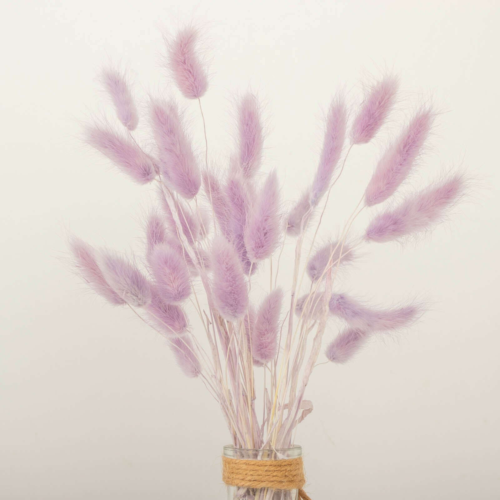 50 Pack Lavender Lilac Rabbit Tail Dried Pampas Grass Flower Bouquets, Boho Stem Arrangements 15