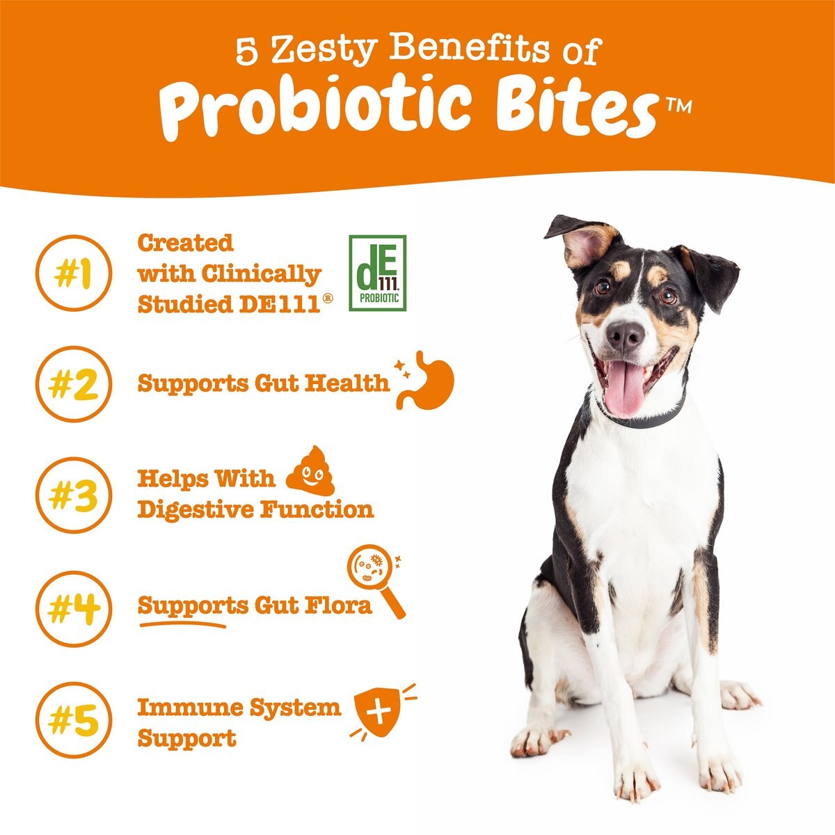 Zesty Paws Probiotics for Gut Health， Digestive Health Supplement Chicken Flavored Dog Soft Chew， 90 count