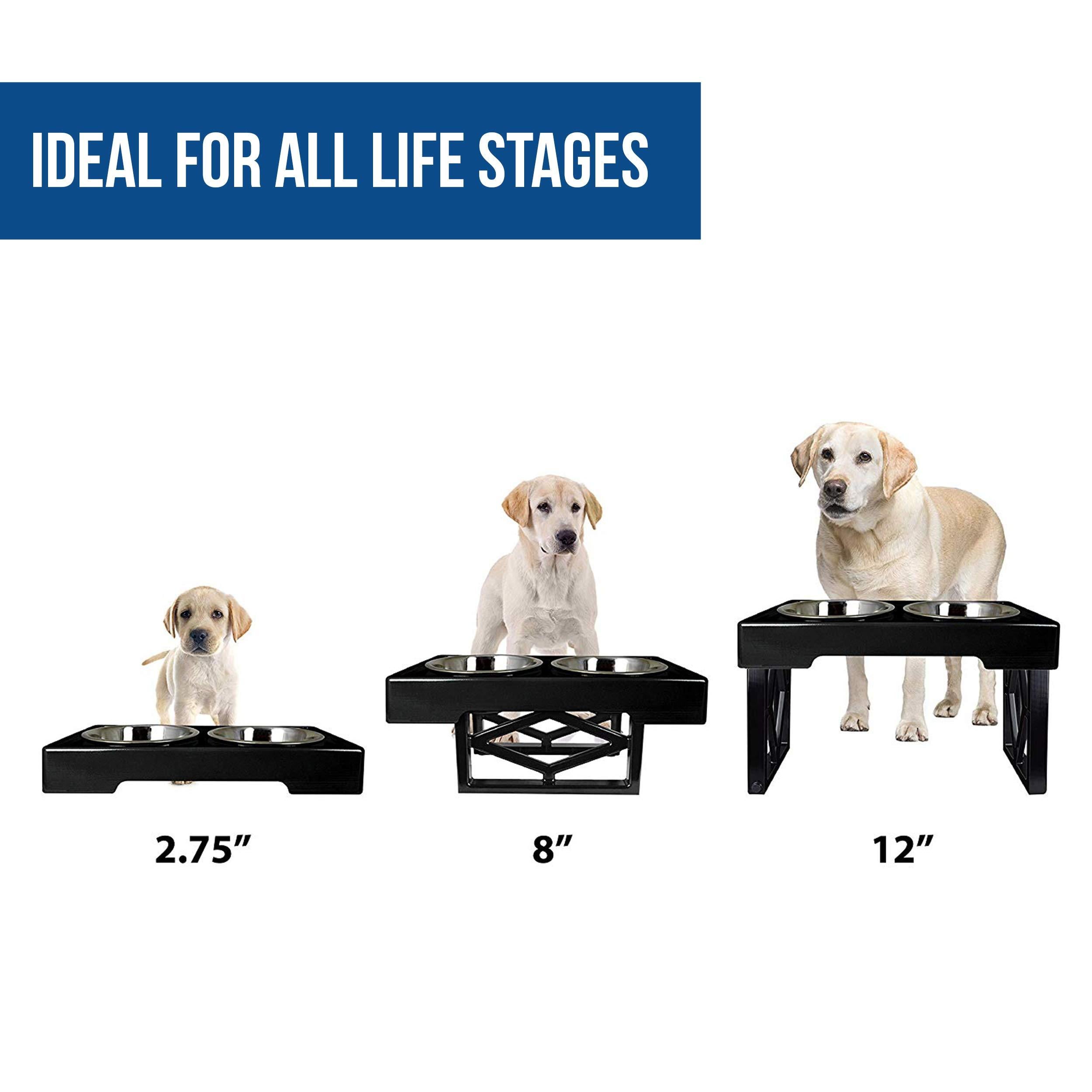 Pet Zone Designer Diner - Adjustable, Elevated, Dog Bowls, 3 Heights, Pet Feeder