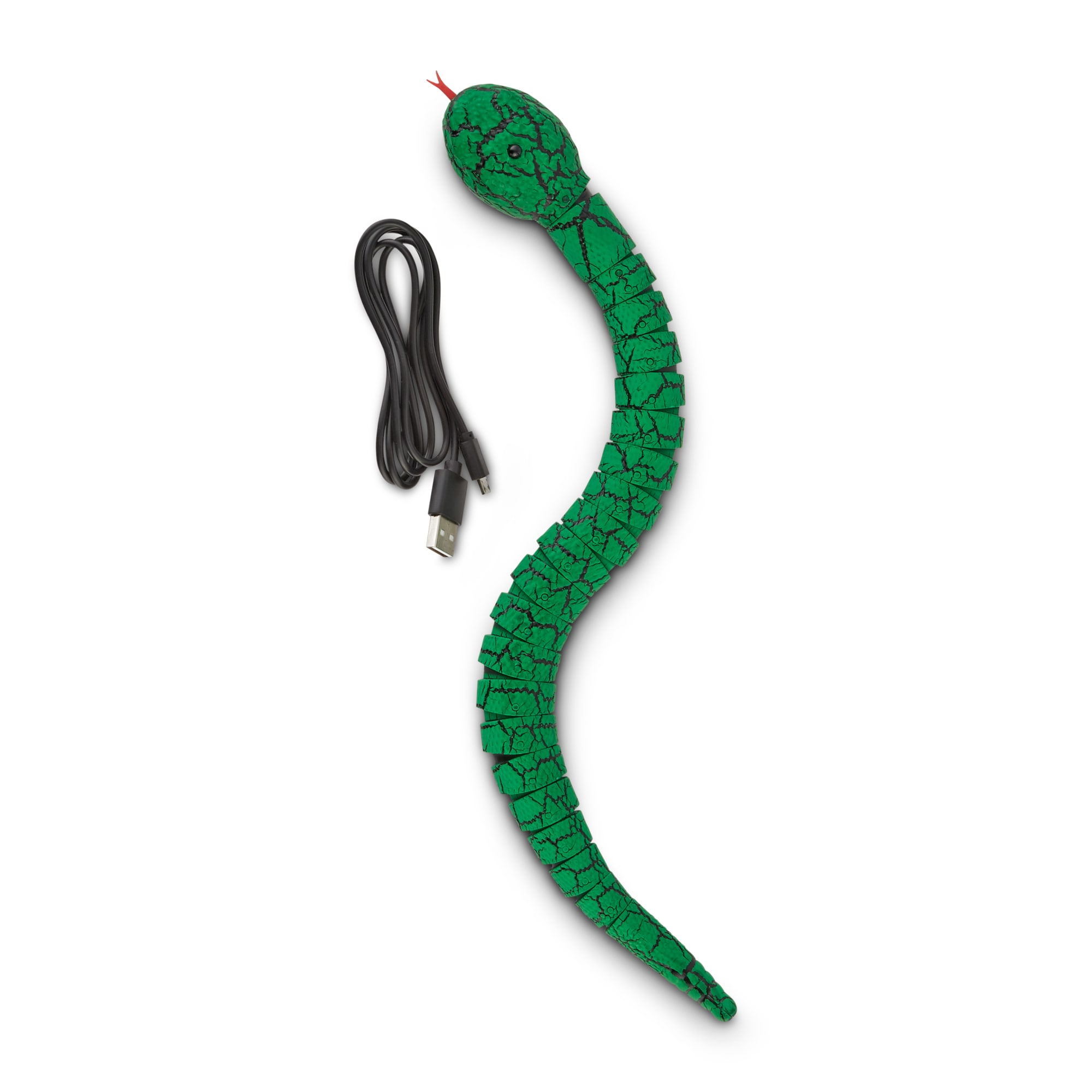 Leaps  Bounds Seek  Swat Snake Cat Toy