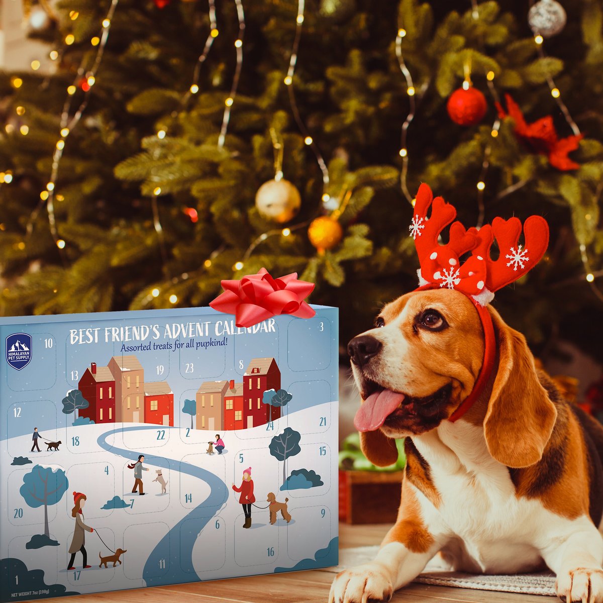 Himalayan Pet Supply Best Friend's Advent Calendar Dog Treats