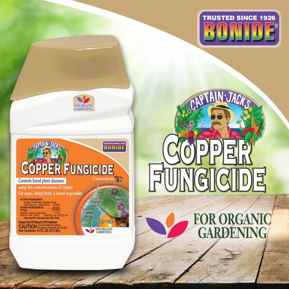 Bonide Captain Jack's Copper Fungicide 16 oz. Concentrate for Organic Gardening Controls Common Diseases 811