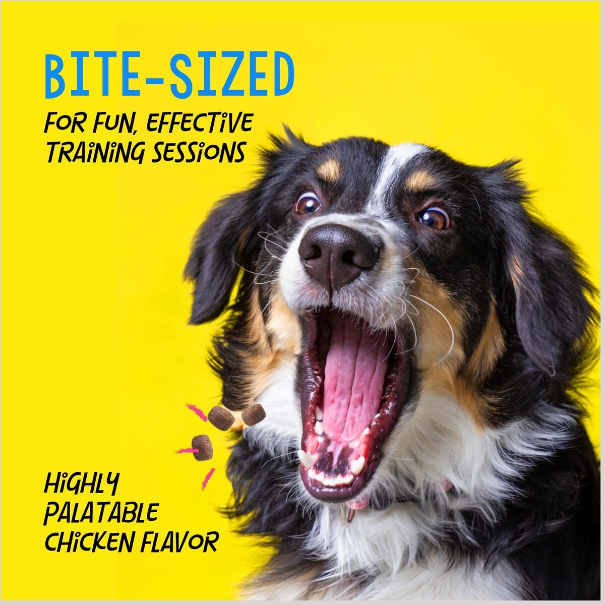 Crazy Dog Train-Me! Chicken Flavor Dog Treats