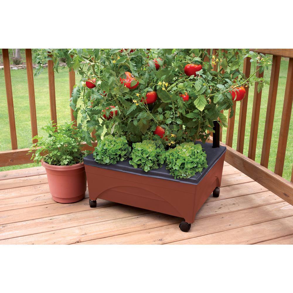 CITY PICKERS 24.5 in. x 20.5 in. Patio Raised Garden Bed Grow Box Kit with Watering System and Casters in Terra Cotta 2340D