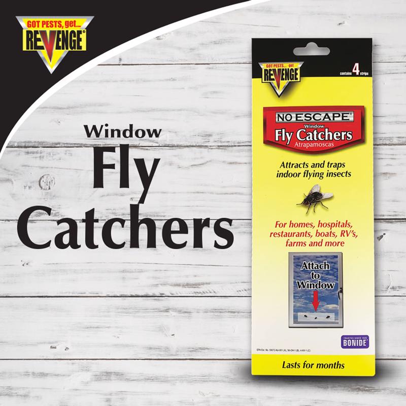 FLY CATCHER WINDW/SCREEN