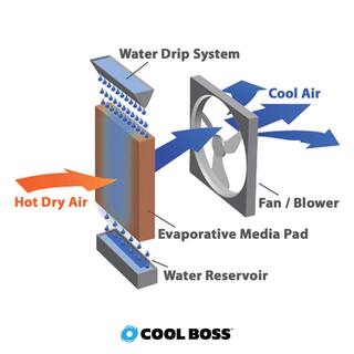 BENDPAK COOLBLAST Series 5845 CFM 10-Speed IndoorOutdoor Portable Evaporative Cooler for 1100-sq. ft. w Floodlight Speaker 5150151