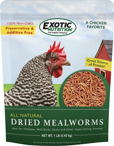 Exotic Nutrition Dried Mealworms