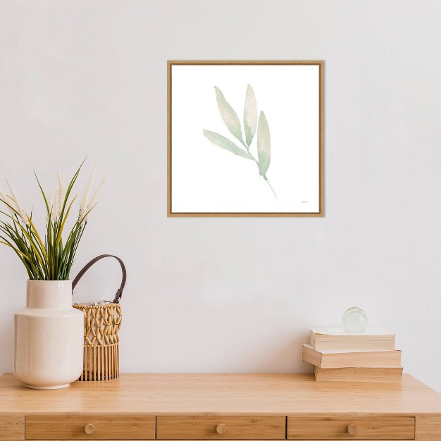 X 16 quot Sage Leaves Iii By Katrina Pete Framed Wall Canvas Amanti Art