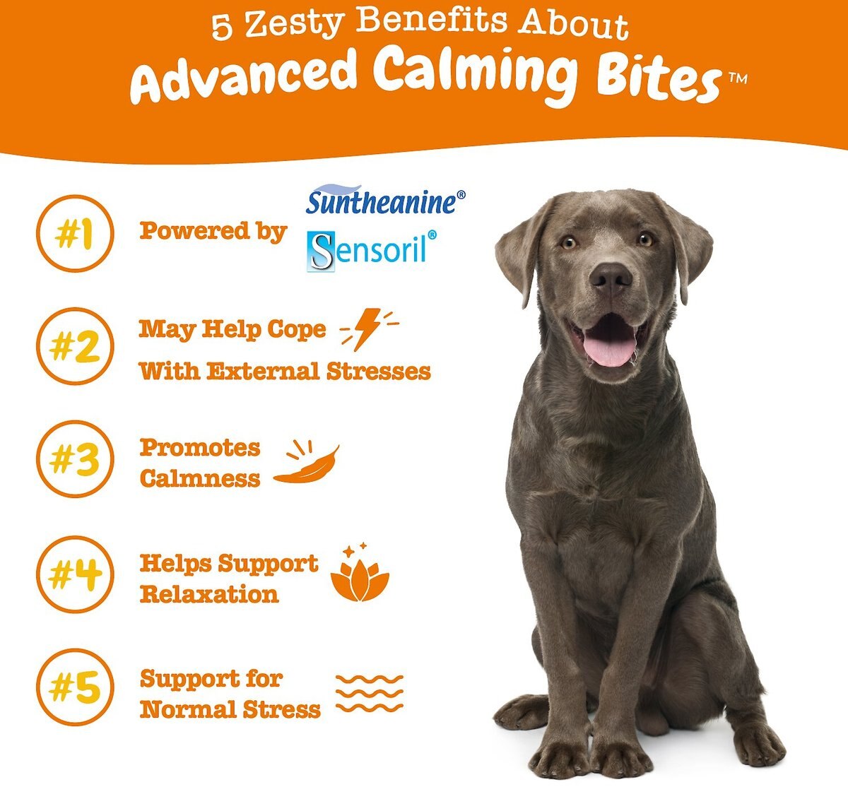 Zesty Paws Advanced Calming Bites Turkey Flavored Soft Chews Calming Supplement for Dogs