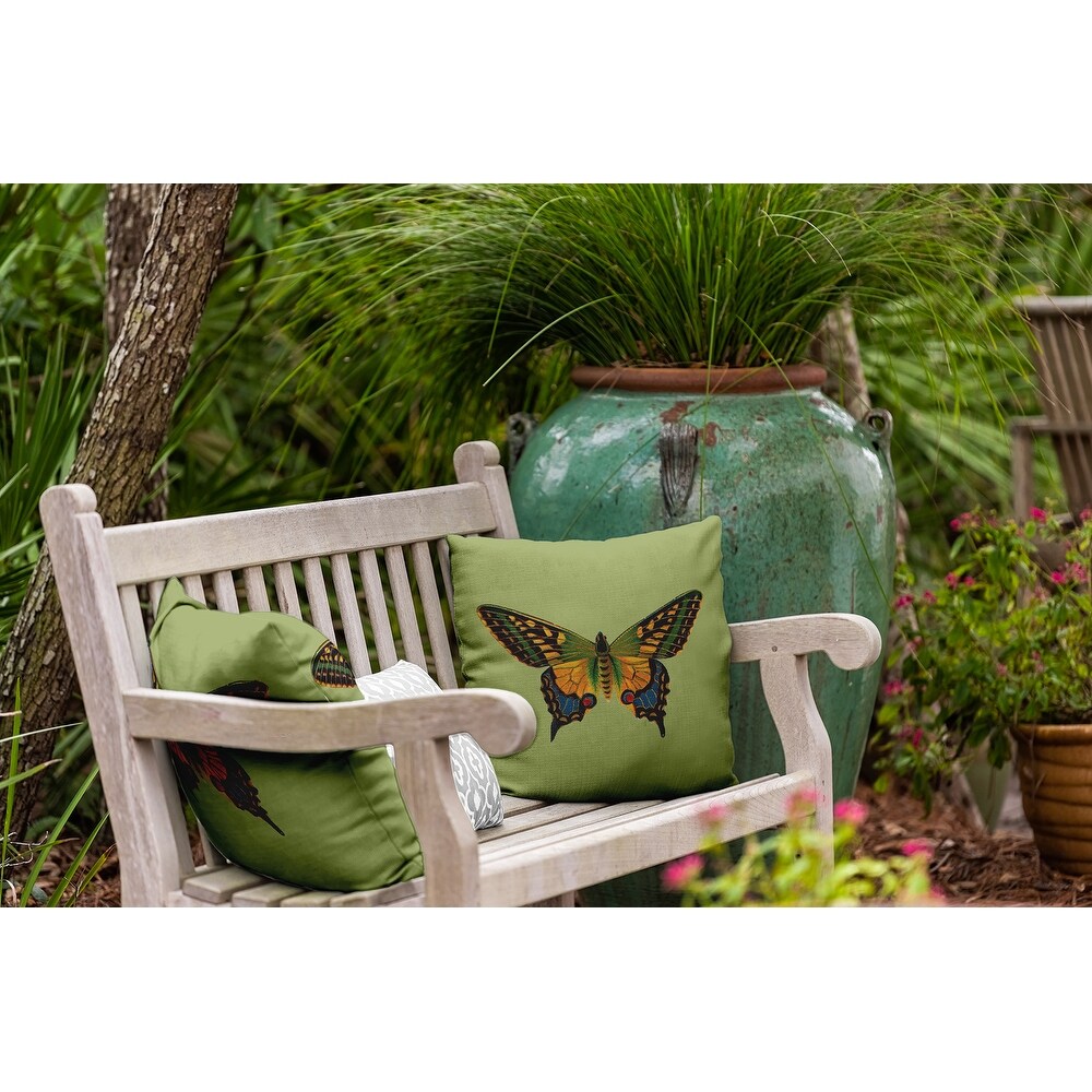 Colorful Swallowtail Polyester Indoor/Outdoor Pillow