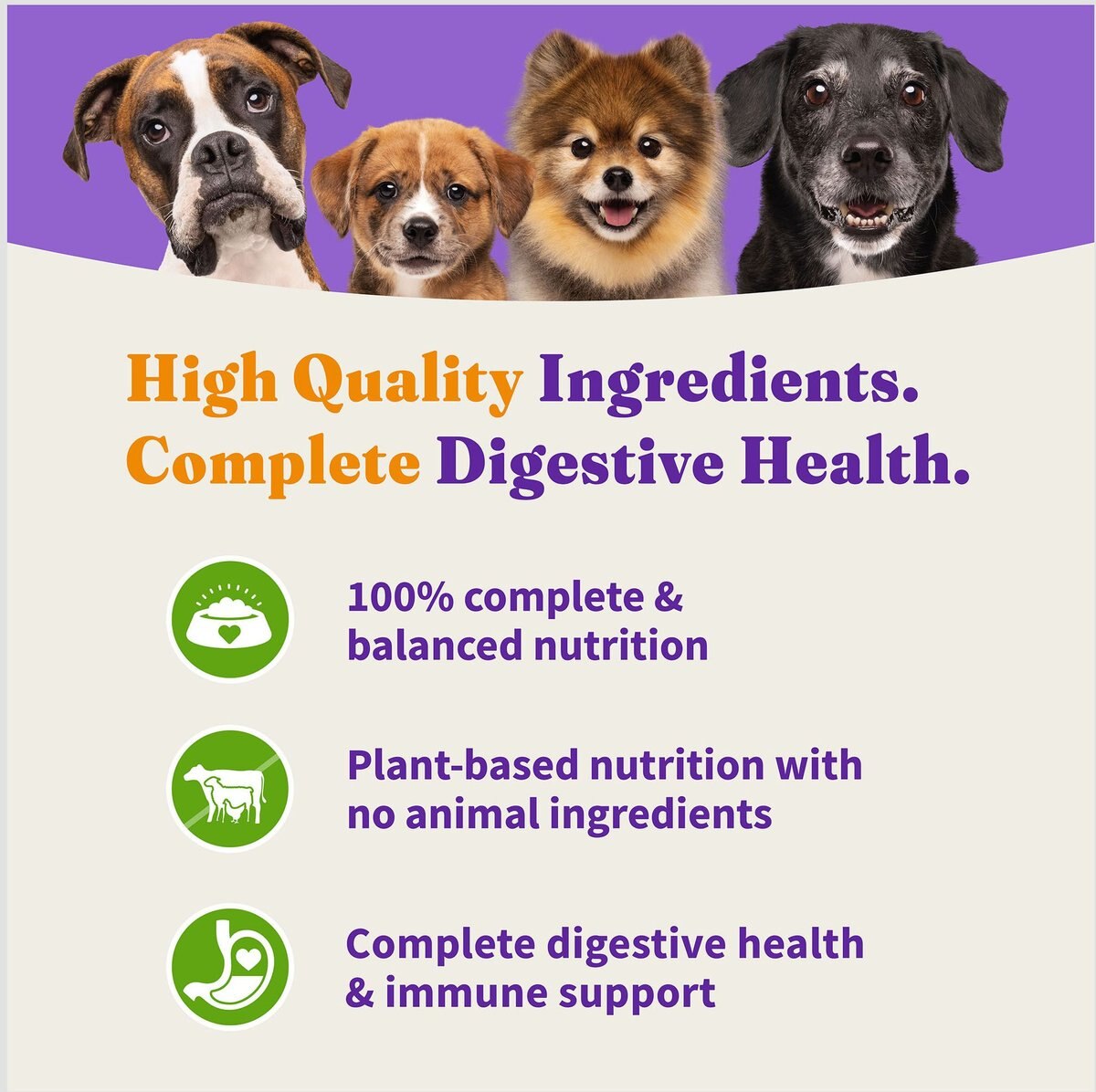 Halo Holistic Vegan Dog Food Complete Digestive Health Plant-Based Recipe with Superfoods Adult Formula Dry Dog Food