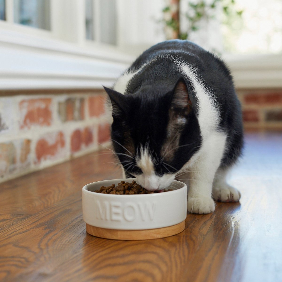 Frisco Round Meow Non-skid Ceramic Cat Bowl with Wood Base