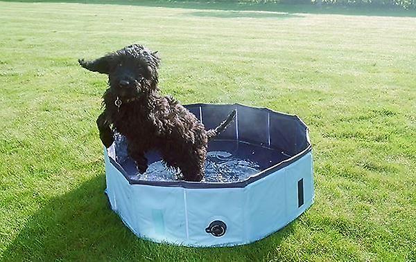 Pet Heat Relief Cool Down Dog Pool   Large30x160cm   Not Just For Dogs